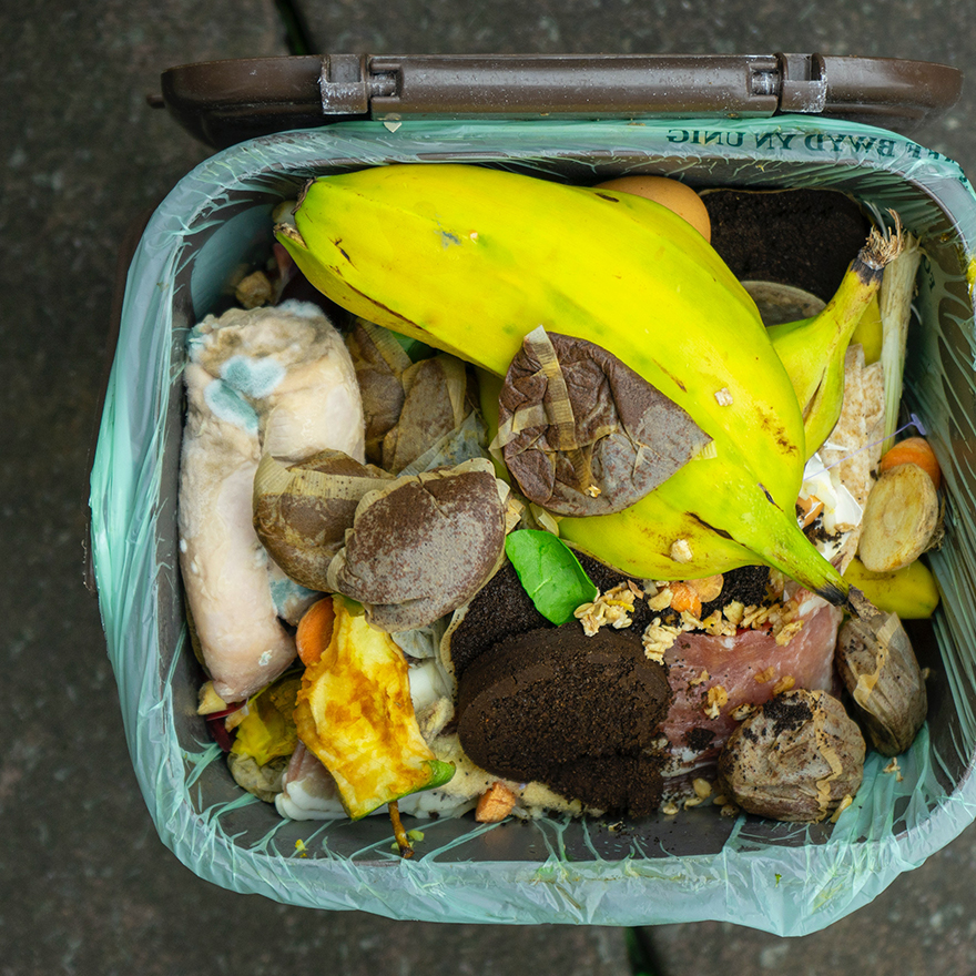 A bird's-eye view of an open compost bin full of food waste.